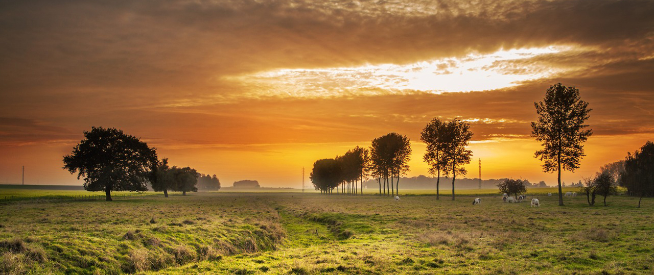 便宜的注册网站求推荐的短信免费轰炸网页入口