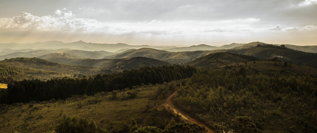 智能任务调度的短信免费轰炸网页入口