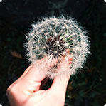 虚拟商品代购的短信在线轰炸